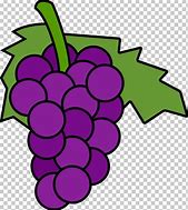 Image result for Orange Grape Vine
