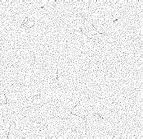 Image result for White Static Screen