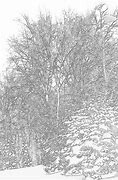 Image result for Winter Storm Drawing