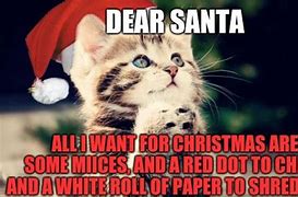 Image result for Christmas Cat Humor