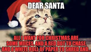 Image result for Cat Christmas Eve Meme