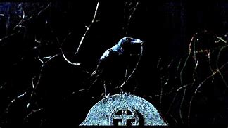 Image result for Gothic Crow