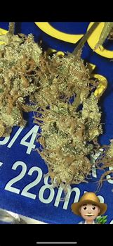 Image result for Fire OG Grow Jornal