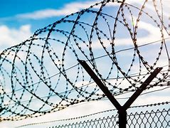 Image result for Barbed Wire