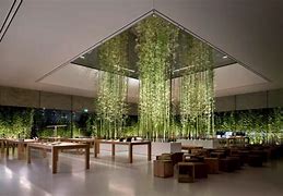 Image result for Apple Store Architecture Plans