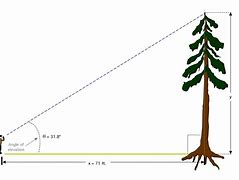 Image result for Height Measurement App