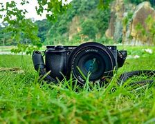 Image result for Sony A1 Shots