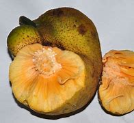 Image result for Monkey Head Fruit