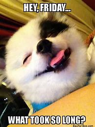 Image result for Happy Friday Dog Meme