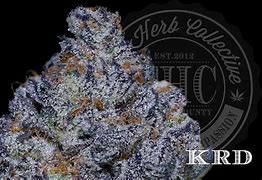 Image result for Apples and Oranges Strain