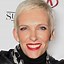 Image result for Toni Collette Hair