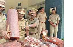 Image result for Drug Smuggling in Chennai Airport