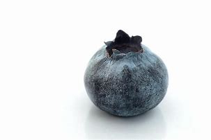 Image result for 1 Blueberry
