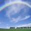 Image result for Full Rainbow Sky