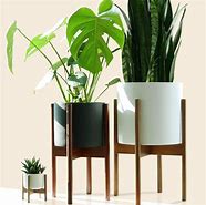 Image result for Decorative Indoor Plant Pots