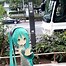 Image result for Miku AR Camera