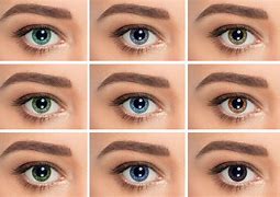 Image result for Progressive Contact Lenses
