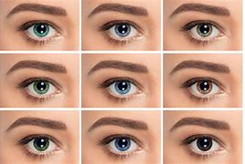 Image result for Different Color Contact Lenses