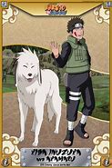 Image result for Naruto White Dog