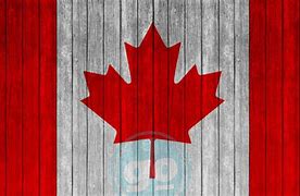 Image result for Canadian Cricket Flag