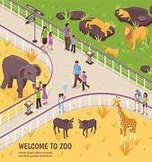 Image result for Zoo Illustration