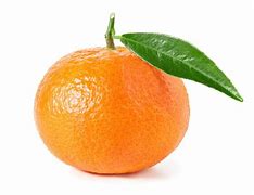 Image result for Tangerine