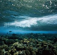 Image result for Underwater Landscape Wallpaper