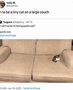 Image result for Cat Toy Under Couch Meme