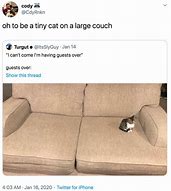 Image result for Cat Google's Spot On Couch Meme