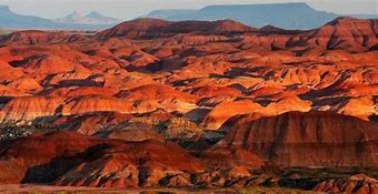 Image result for Person Out in Painted Desert Arizona