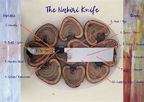 Image result for Nakiri Knife Anatomy