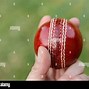 Image result for Cricket Ground