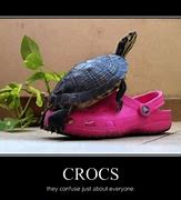 Image result for ugly croc meme