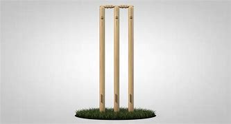 Image result for Pic of a Cricket Wicket