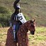 Image result for Medieval Prince On Horse