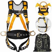 Image result for Body Harness Work