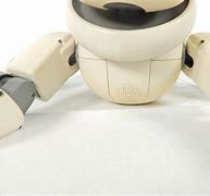 Image result for Aibo 310