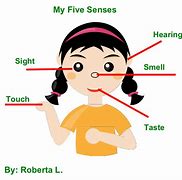 Image result for Image of a Boy with Five Senses