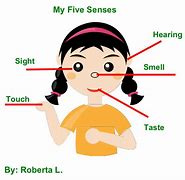 Image result for Body Senses Iquize Picture