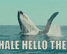 Image result for Whale Meme Coin