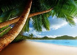 Image result for Caribbean Beach Desktop