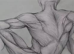Image result for Human Form Sketch