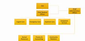 Image result for Organizational Chart Inspiration