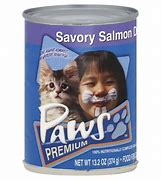 Image result for Cat Food Cat