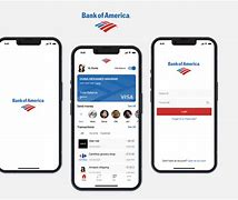 Image result for How to Find SSN On Bank of America App