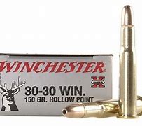 Image result for 30-30 Hollow Point
