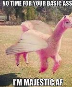 Image result for Llama V Alpaca Meme