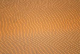 Image result for Sand Dune Texture