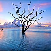 Image result for Landscape Photography