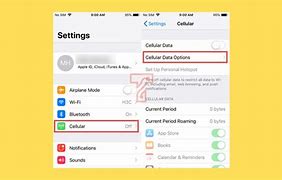 Image result for Unlock Browser Settings Apple